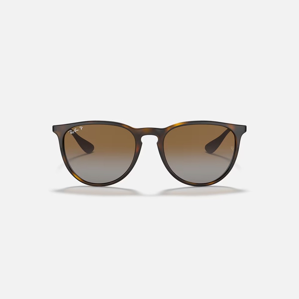 Erika Classic RAYBANS Polarized Tortoise